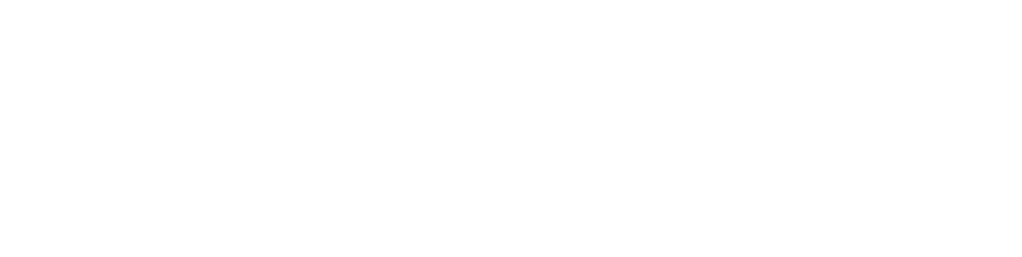 VeilDVPN wordmark